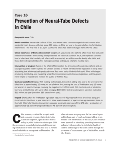 Prevention of Neural-Tube Defects in Chile Case 16