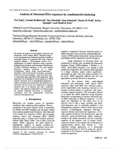 Analysis  of  ribosomal  RNA sequences  by ... clustering Poe Xing1,  Casimir Kulikowski1,  Ilya  Muchnik