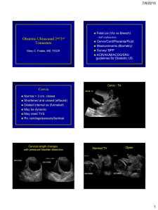 Obstetric Ultrasound 2 /3  Trimesters