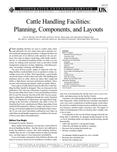 Cattle Handling Facilities: Planning, Components, and Layouts