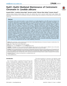 Candida albicans Rad51–Rad52 Mediated Maintenance of Centromeric Chromatin in Sreyoshi Mitra