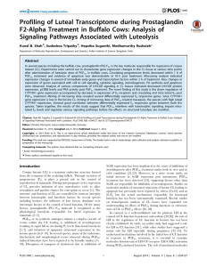 Profiling of Luteal Transcriptome during Prostaglandin