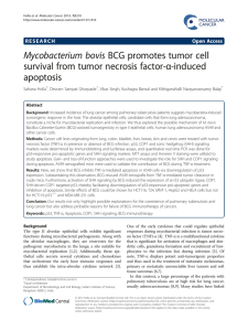 Mycobacterium bovis BCG promotes tumor cell α-induced survival from tumor necrosis factor- apoptosis