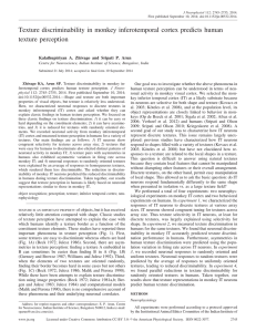 Texture discriminability in monkey inferotemporal cortex predicts human texture perception