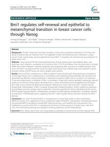 Bmi1 regulates self-renewal and epithelial to through Nanog