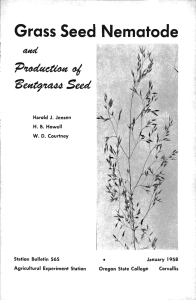 Grass Seed Nematode 'eme5Puw4 Seed Station Bulletin 565 Agricultural Experiment Station