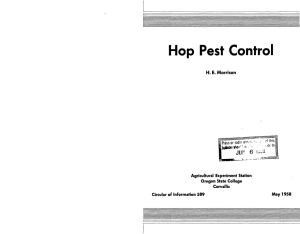 Hop Pest Control H. E. Morrison