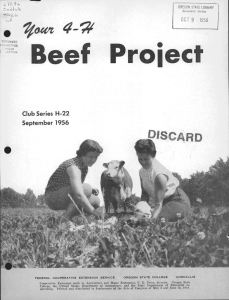 Beef Project ISCARD /oa't 4- September 1956