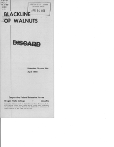 cOf WALNU 0LACKLINE- Is April 1958
