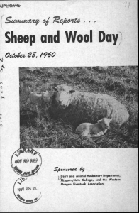 Sheep and Wool Day Root&amp; -# . Seer4tM4TV n