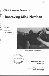 Improving Mink Nutrition 1  1960 PteItede Reoent