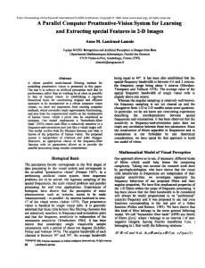 A Parallel  Computer Preattentive-Vision  System for  Learning