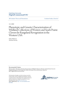 Phenotypic and Genetic Characterization of Clovers for Rangeland Revegetation in the