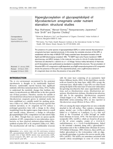 Hyperglycosylation of glycopeptidolipid of Mycobacterium smegmatis under nutrient starvation: structural studies