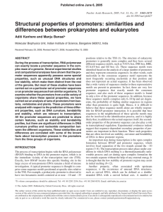 Structural properties of promoters: similarities and differences between prokaryotes and eukaryotes