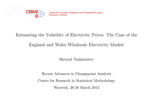 Estimating the Volatility of Electricity Prices: The Case of the
