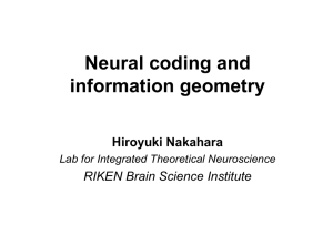 Neural coding and information geometry Hiroyuki Nakahara RIKEN Brain Science Institute