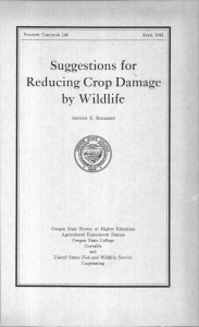 Suggestions for Reducing Crop Damage by Wildlife