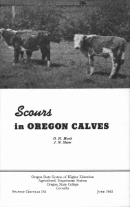 Scea4 in OREGON CALVES 0. H. Muth J. N. Shaw