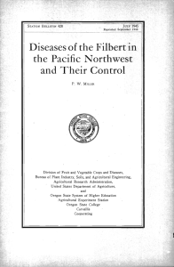 and Their Control the Pacific Northwest Diseases of the Filbert in H
