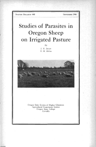 Irrigated Pasture Studies of Parasites in Oregon Sheep on