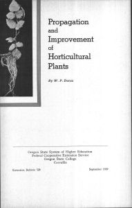 Propagation Improvement Horticultural Plants
