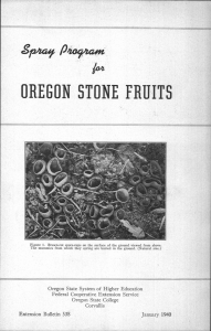 OREGON STONE FRUITS