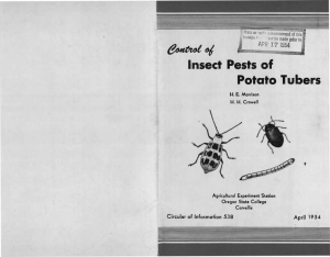 Insect Pests of Potato Tubers APR Circular of Infownafion 538