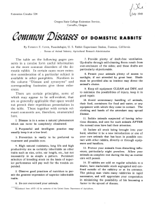 Common 'Diseases ©F DOMESTIC  RABBITS