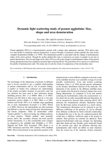 Dynamic light scattering study of peanut agglutinin: Size, S D