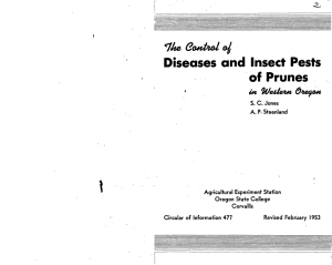 1 Diseases and Insect Pests of Prunes