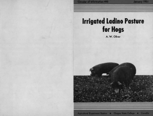 Irrigated Ladino Pasture for Hogs A. W. Oliver Circular of Information 490