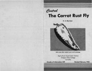 The Carrot Rust Fly H. E. Morrison Circular of Information 539