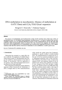 DNA methylation in mycobacteria: Absence of  methylation at GATC Dcm) sequences