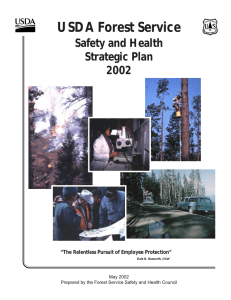 USDA Forest Service Safety and Health Strategic Plan 2002