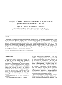 Analysis of DNA curvature distribution in mycobacterial promoters using theoretical models