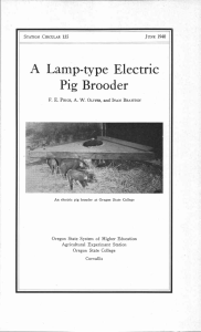 A Lamp-type Electric Pig Brooder Oregon State System of Higher Education