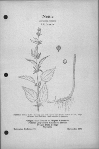 Nettle Oregon State System of Higher Education Federal Cooperative Extension Service