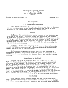 AGRICULT1XRL LPERIMtNT STATION Circular of Information No. 210 November, 1939 PEACH LEAF CURL
