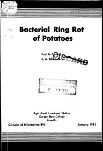 Bacterial Ring Rot of Potatoes L--, J. A. MflbraTh'