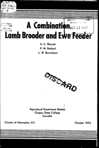 A Combunati Lamb Brooder and n0- Ov' aL