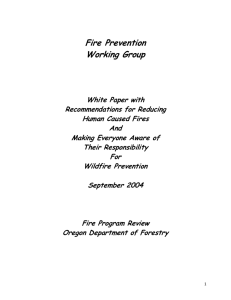 Fire Prevention Working Group