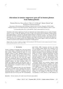 Alterations in tumour suppressor gene p53 in human gliomas P