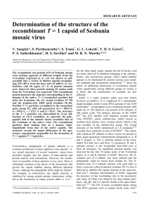Determination of the structure of the T mosaic virus