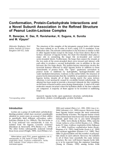 Conformation, Protein-Carbohydrate Interactions and