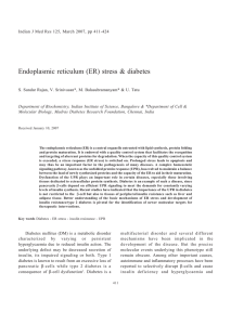 Endoplasmic reticulum (ER) stress &amp; diabetes