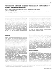 Thermodynamic and kinetic analysis of the Escherichia coli thioredoxin-C h