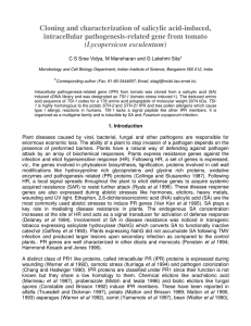 Cloning and characterization of salicylic acid-induced, intracellular pathogenesis-related gene from tomato