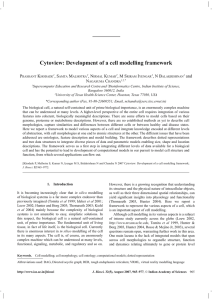 Cytoview: Development of a cell modelling framework P K , S