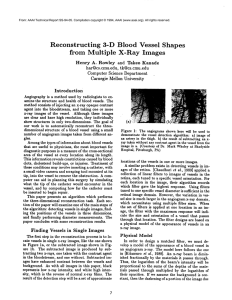 Reconstructing 3-D  Blood  Vessel Shapes from  Multiple
